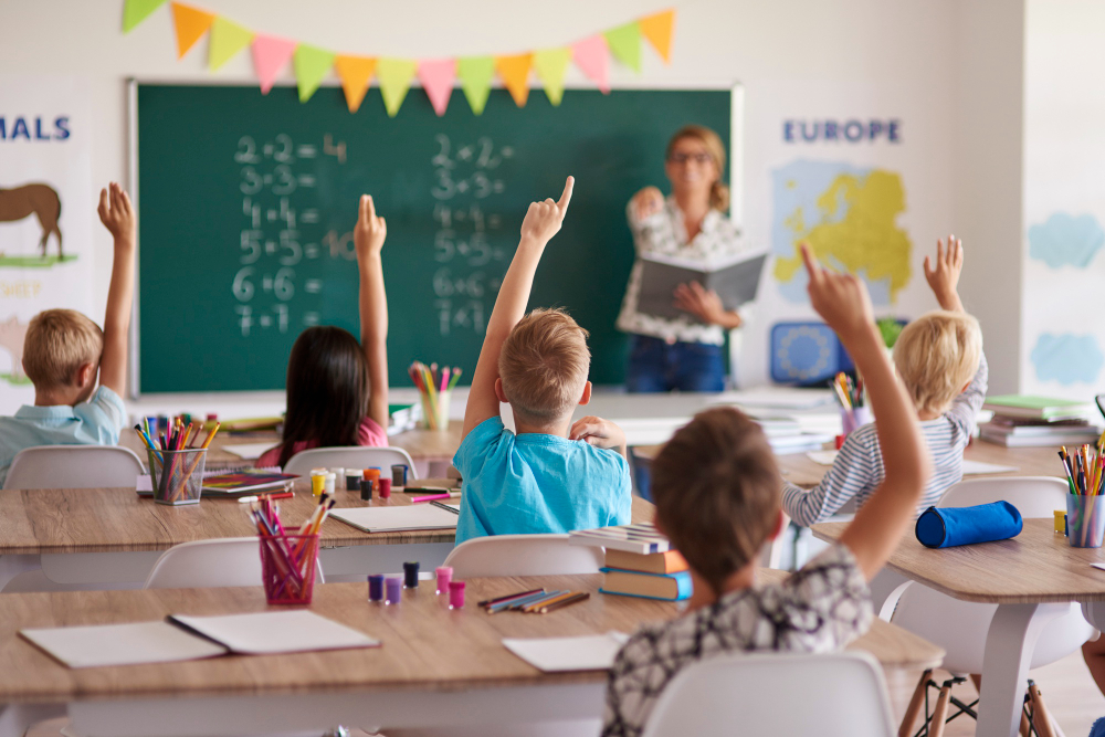 Primary School image